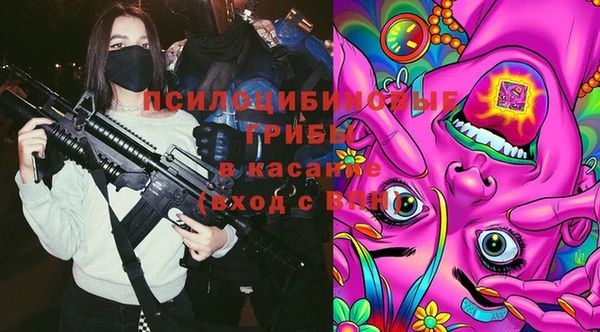 ALPHA-PVP Богородицк
