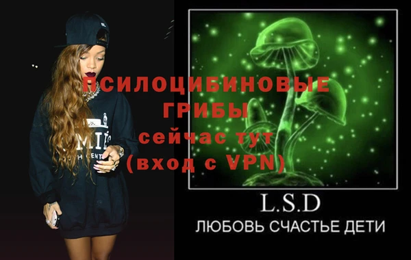 прущие грибы Богородск