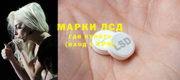прущие грибы Богородск