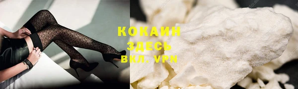 прущие грибы Богородск