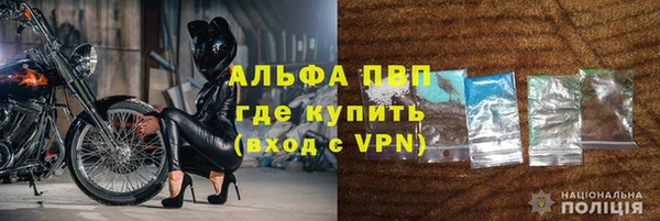 прущие грибы Богородск