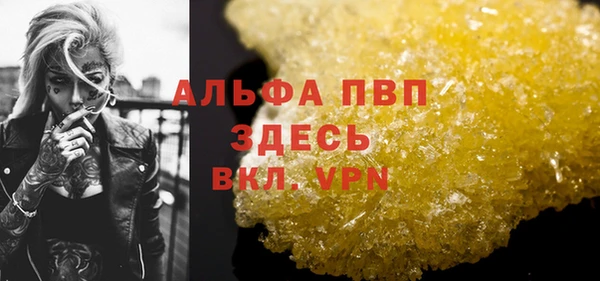 гашик Богданович