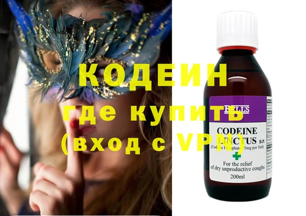гашик Богданович