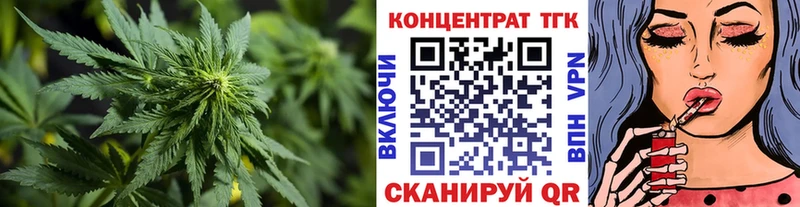 Дистиллят ТГК Wax  Купить где  Лесной 