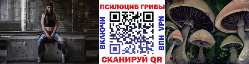 Купить  Лесной  Галлюциногенные грибы Magic Shrooms 